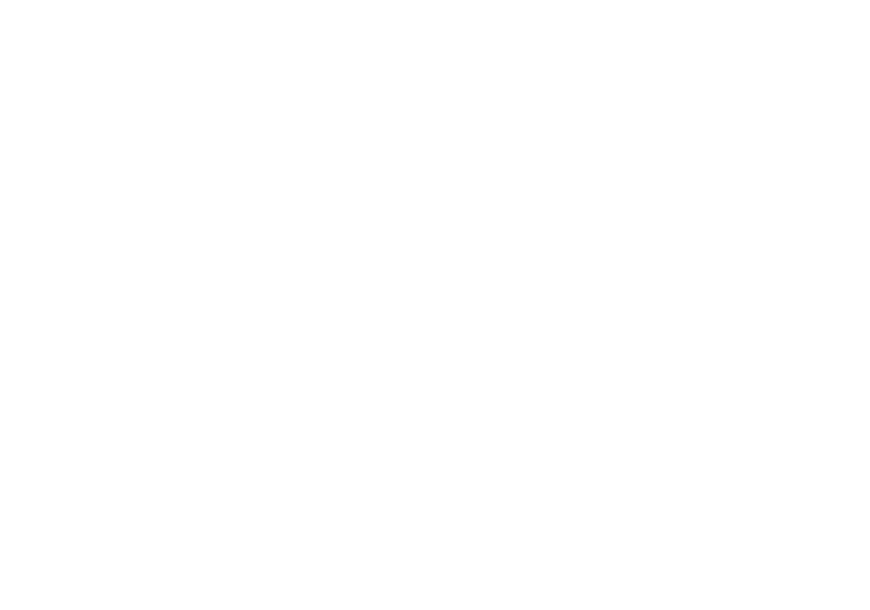 <h5>Sala Ferrando</h5>